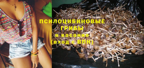 гашиш Дмитров